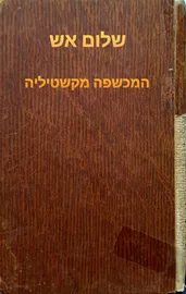 המכשפה מקשטיליה - שלום אש - יד שניה (ללא עטיפה חיצונית) דני ספרים
