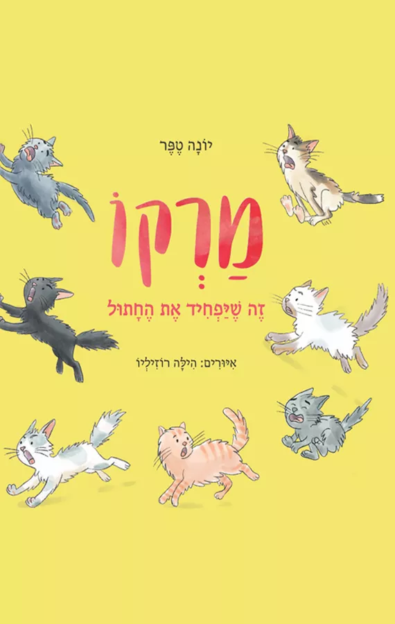 מרקו, זה שיפחיד את החתול