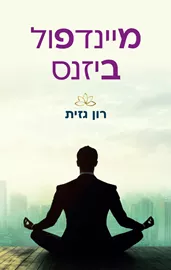 מיינדפול ביזנס דני ספרים