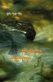 צלילות הערפל - גלי צבי ויס - יד שניה דני ספרים