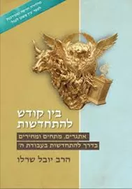 בין קודש להתחדשות דני ספרים