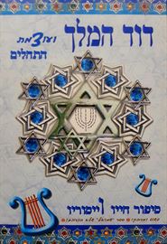 דוד המלך ועוצמת התהלים - שולמית גד - יד שניה דני ספרים