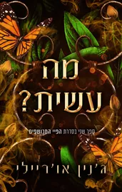 הפיי המכושפים 2 - מה עשית? דני ספרים