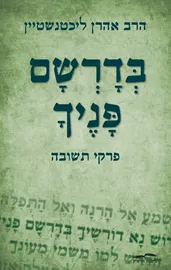 בדרשם פניך - אהרן ליכטנשטיין דני ספרים