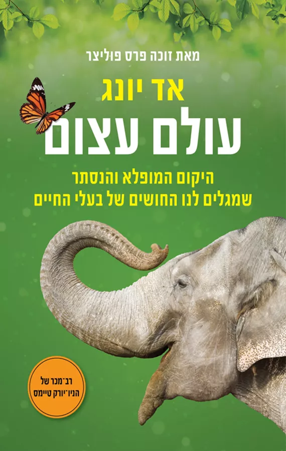 עולם עצום - אד יונג