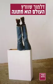 העולם הוא חתונה דני ספרים