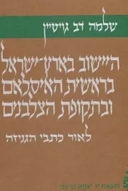 היישוב בארץ-ישראל בראשית האיסלאם ובתקופת הצלבנים - יד שניה דני ספרים