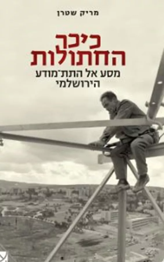כיכר החתולות - יד שניה
