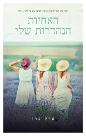 האחיות הנהדרות שלי - יד שניה דני ספרים