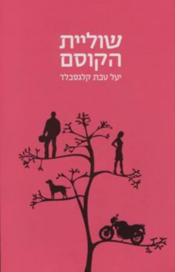 שוליית הקסם - יד שניה