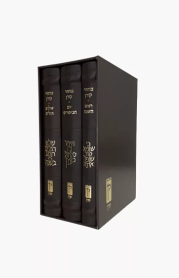 מארז מחזור קורן לר