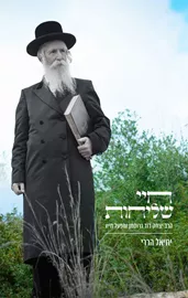 חיי שליחות - הרב יצחק דוד גרוסמן ומפעל חייו - יחיאל הררי דני ספרים