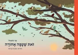 זאת שעפה אחורה - אגי משעול דני ספרים