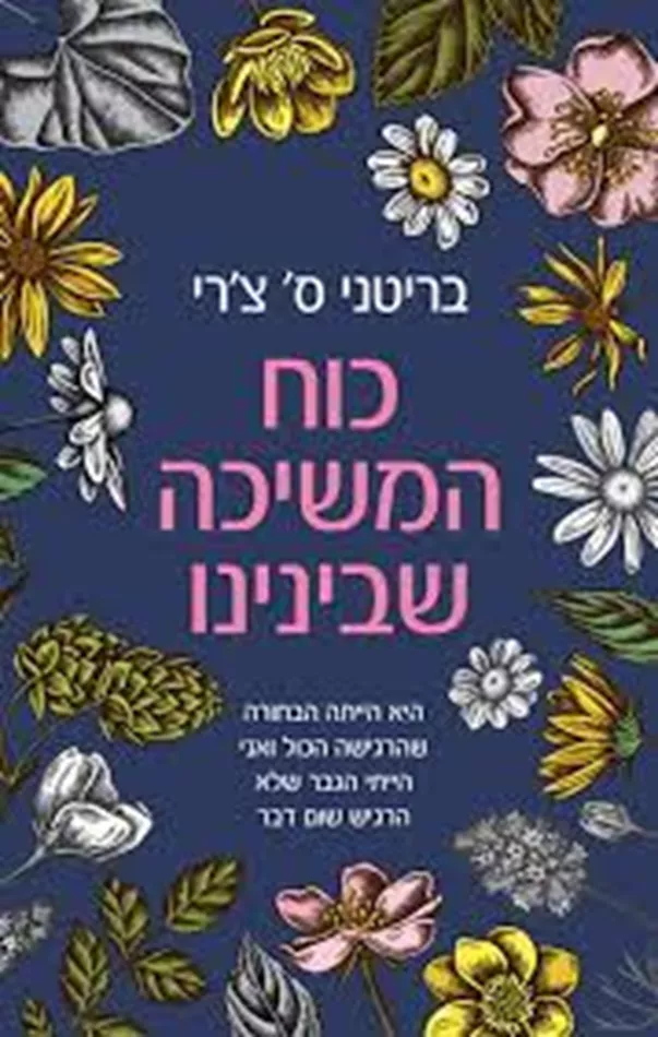 כוח המשיכה שבינינו - יד שניה