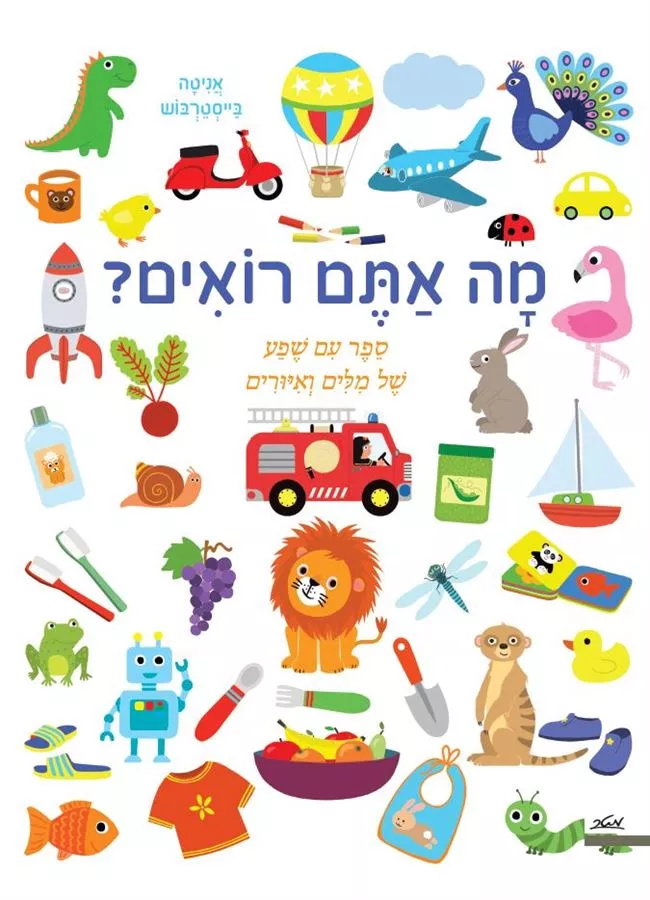 מה אתם רואים? - אניטה בייסטרבוש