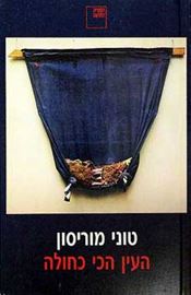 העין הכי כחולה - יד שניה דני ספרים