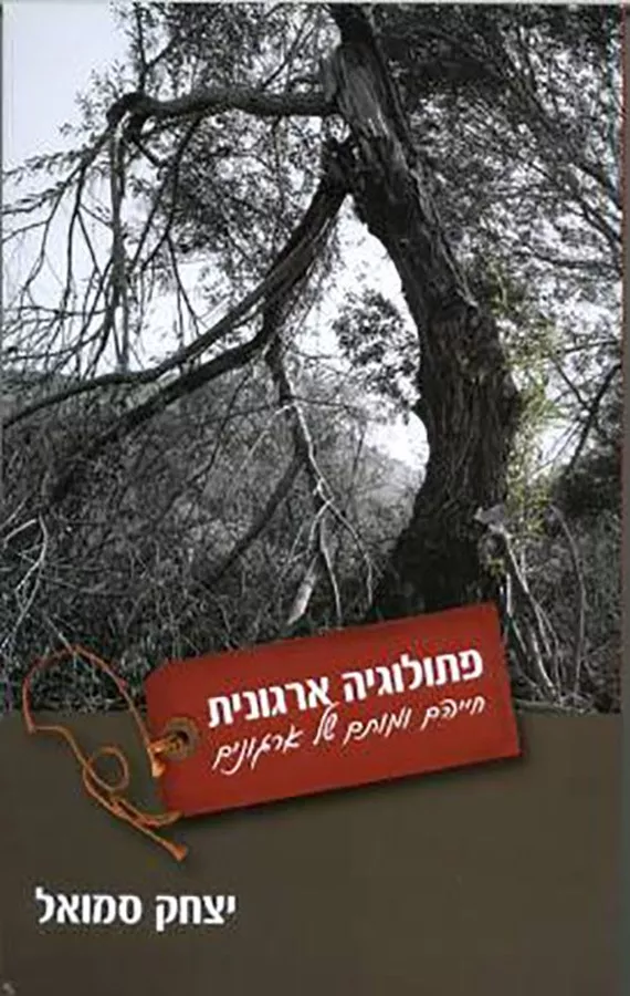 פתולוגיה ארגונית - יד שניה