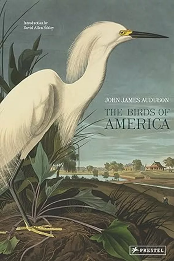 the birds of america - second hand