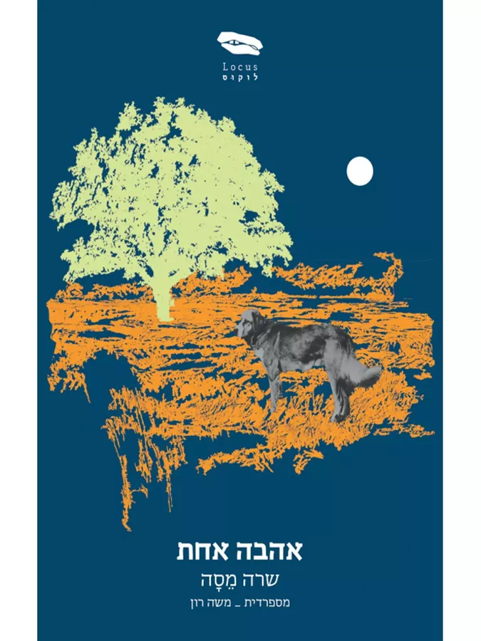 אהבה אחת - יד שניה