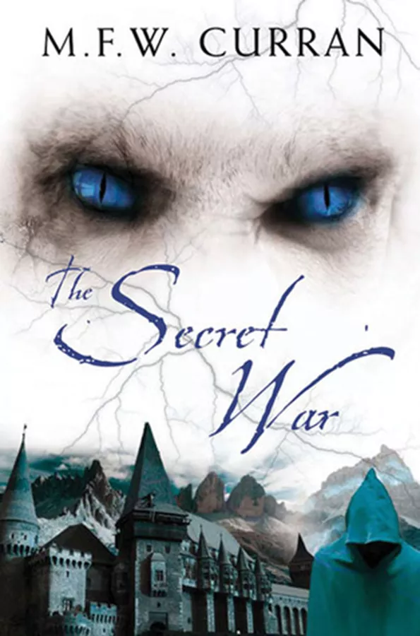The Secret War - second hand