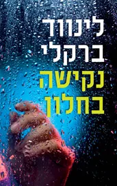 נקישה בחלון - יד שניה דני ספרים