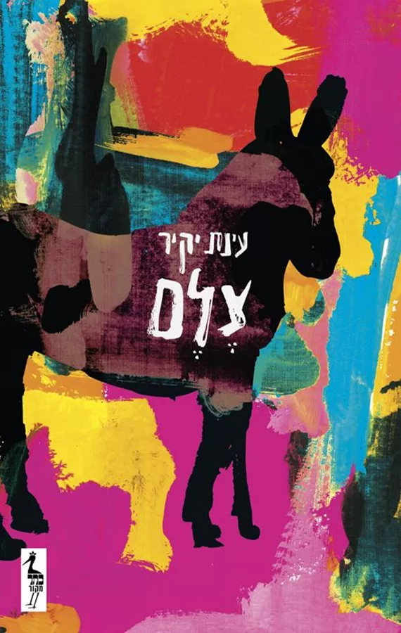 צלם - עינת יקיר