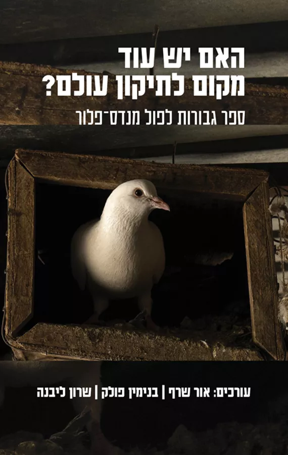 האם יש עוד מקום לתיקון עולם?