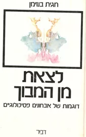 לצאת מן המבוך - יד שניה דני ספרים