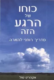 כוחו של הרגע הזה - יד שניה דני ספרים