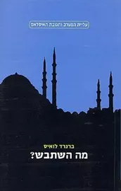 מה השתבש - ברנרד לואיס - יד שניה דני ספרים