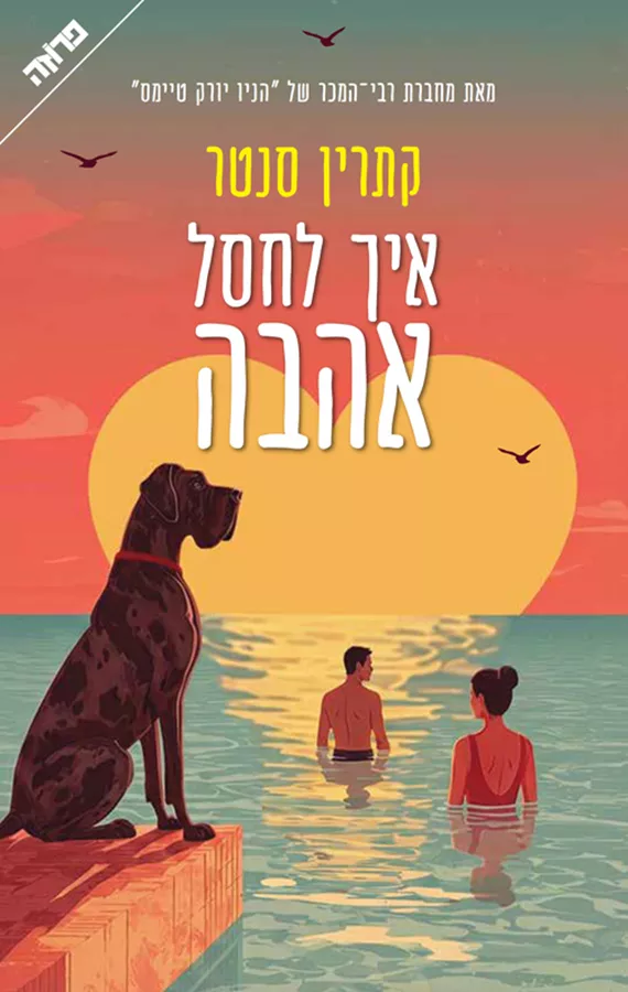 איך לחסל אהבה - יד שניה