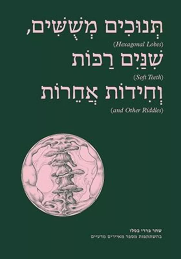 תנוכים משושים שנים רכות וחידות אחרות - שחר פרדי-כסלו