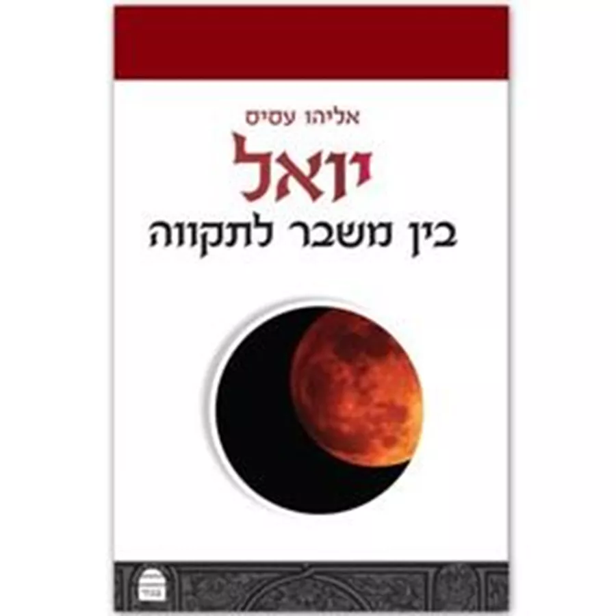 יואל בין משבר לתקווה - יד שניה