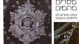 מסרים מהמים - מאסארו אמוטו - יד שניה דני ספרים