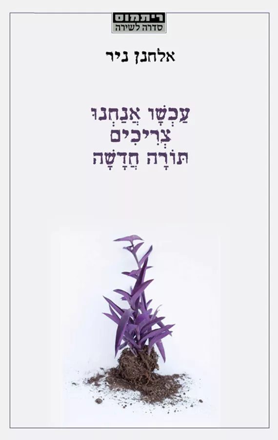 עכשיו אנחנו צריכים תורה חדשה