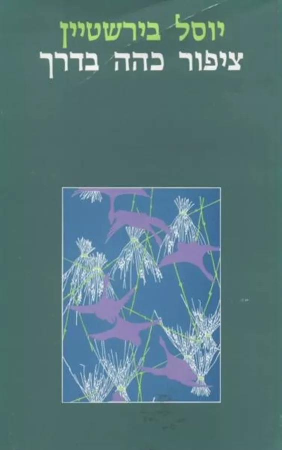 ציפור כהה בדרך - יד שניה