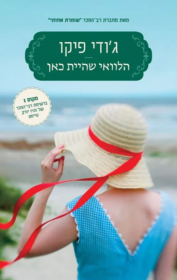 הלוואי שהיית כאן - ג'ודי פיקו