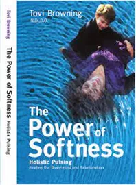 the power of softness - second hand דני ספרים