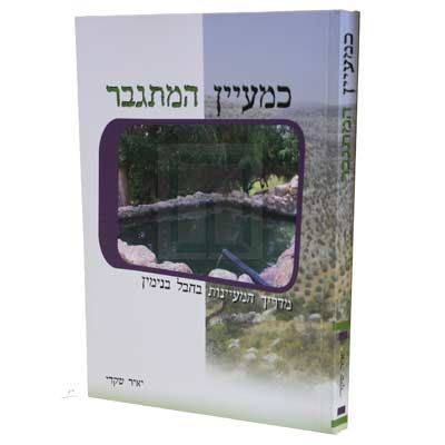 כמעיין המתגבר - יאיר שקדי - יד שניה