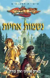 נשמות אחיות - יד שניה דני ספרים