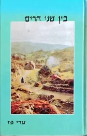 בין שני הרים - יד שניה דני ספרים