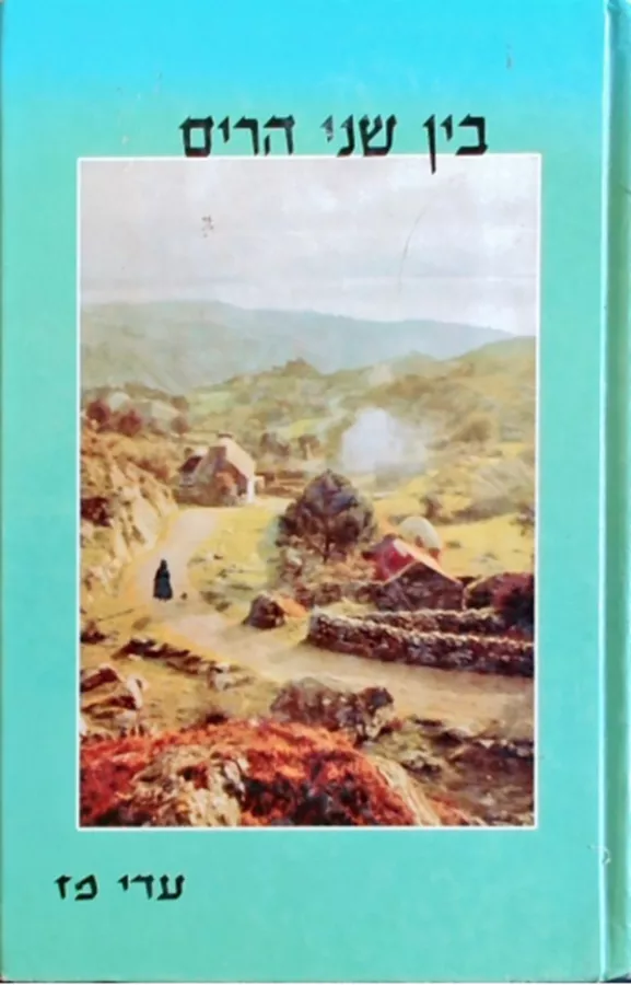 בין שני הרים - יד שניה