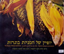 יופיין של חמניות בוגרות - יד שניה דני ספרים