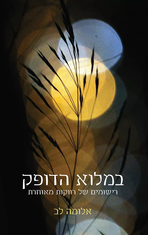 במלוא הדופק - יד שניה
