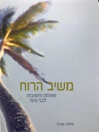 משיב הרוח - שאלות ותשובות לבני הנוער danibooks