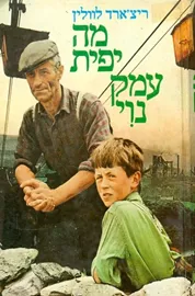 מה יפית עמק נוי - ריצארד לוולין - יד שניה דני ספרים