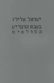בשבח הדברים החולפים - יד שניה דני ספרים