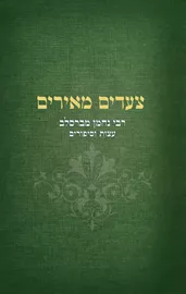 צעדים מאירים דני ספרים