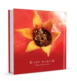 מוזמנים לחגים - יד שניה דני ספרים