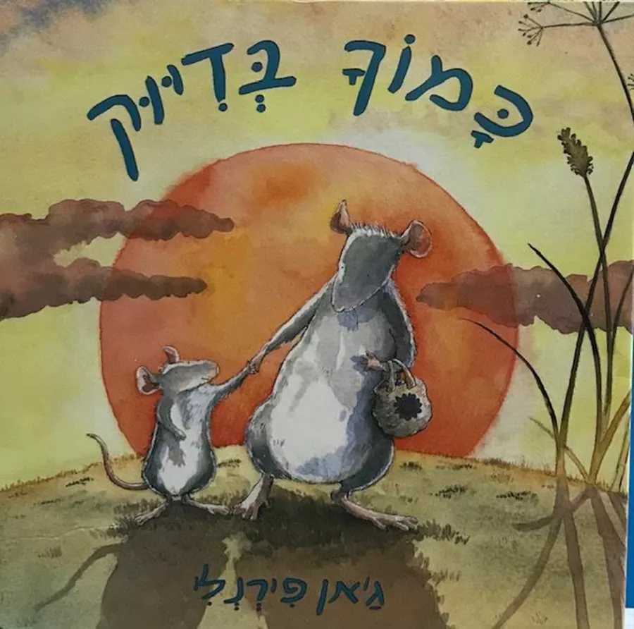 כמוך בדיוק-מהדורת קרטון